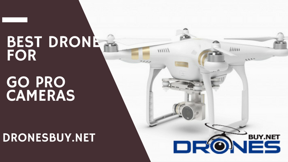 Best Drone for GoPro